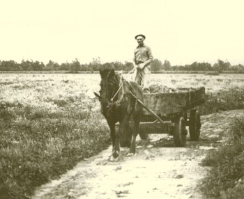 1935. Laori de bonifica de l’Agro Pontino.