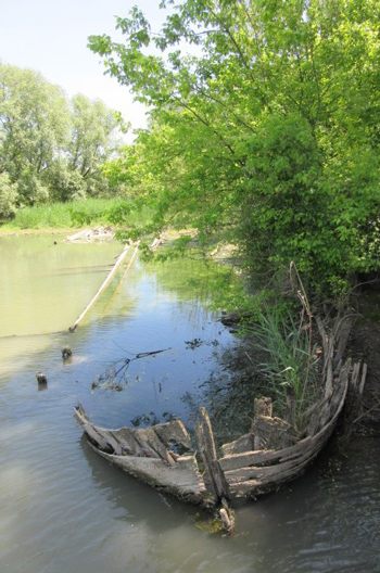 Scheletro de burcio conservà dentro ’a bassa marea del fiume…